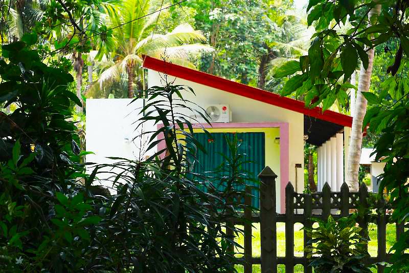 Luxury room Lion Resort interior